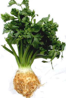 Low Carbohydrate Vegetables Turnips Celery Root