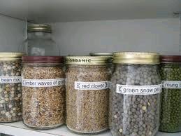 Seeds may be stored in a refrigerator or freezer, or an unheated basement.