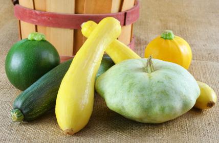 Summer Squash -- Culture Planting -- After Danger of Frost»Soil Temperature Above 60deg F.