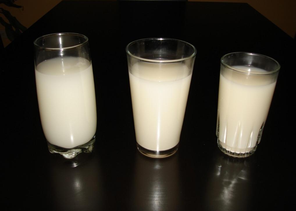 Nut milk is prepared from the meal, which substitutes animal milk and is used for functional beverages. Analysis Result Dry Matter 92.