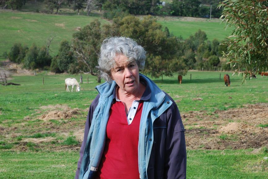 The Story: The application of compost tea and its effect on soil and pasture Name: Alison Livermore and John Murphy Farm: Nar Nar Goon Overview Alison on their farm In 2014 Alison Livermore and John
