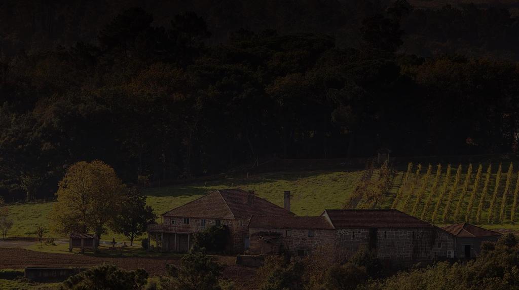 PRIORATO DE RAZAMONDE, S.L. The vineyard is located at the heart of El Ribeiro.