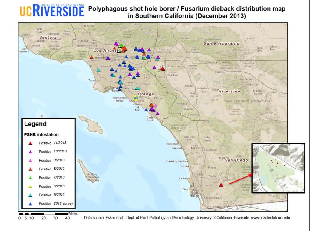 Current distribution of PSHB in CA El