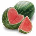 Melon Quality & Ripening Marita Cantwell