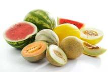 Melons are very Diverse Ripe fruit Characteristics Cantaloupe Watermelon HoneyDew HoneyLoupe Canary Casaba Days from anthesis 55 53 43 60 Weight, g 2200 1400 2250 3000 Respiration, µl/g-h 16 23 17 15