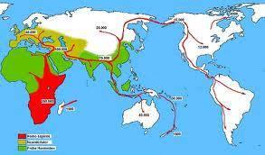 Settling New Lands Early hominids migrated from Africa to Asia about 2 million years ago.