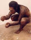 -2 million years ~12,000 years Homo habilis Stone Tools Development Neolithic (new stone age) was a period
