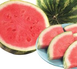 Al Saveland Super Market Wick Whole Seedless Watermelon
