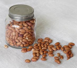 legumes and What