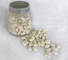 Pulses are part of