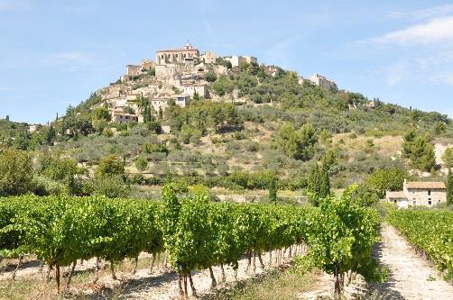 lavender fields (in June-July), truffles, cherry trees (flowered in May), then the vineyards of Luberon and their history