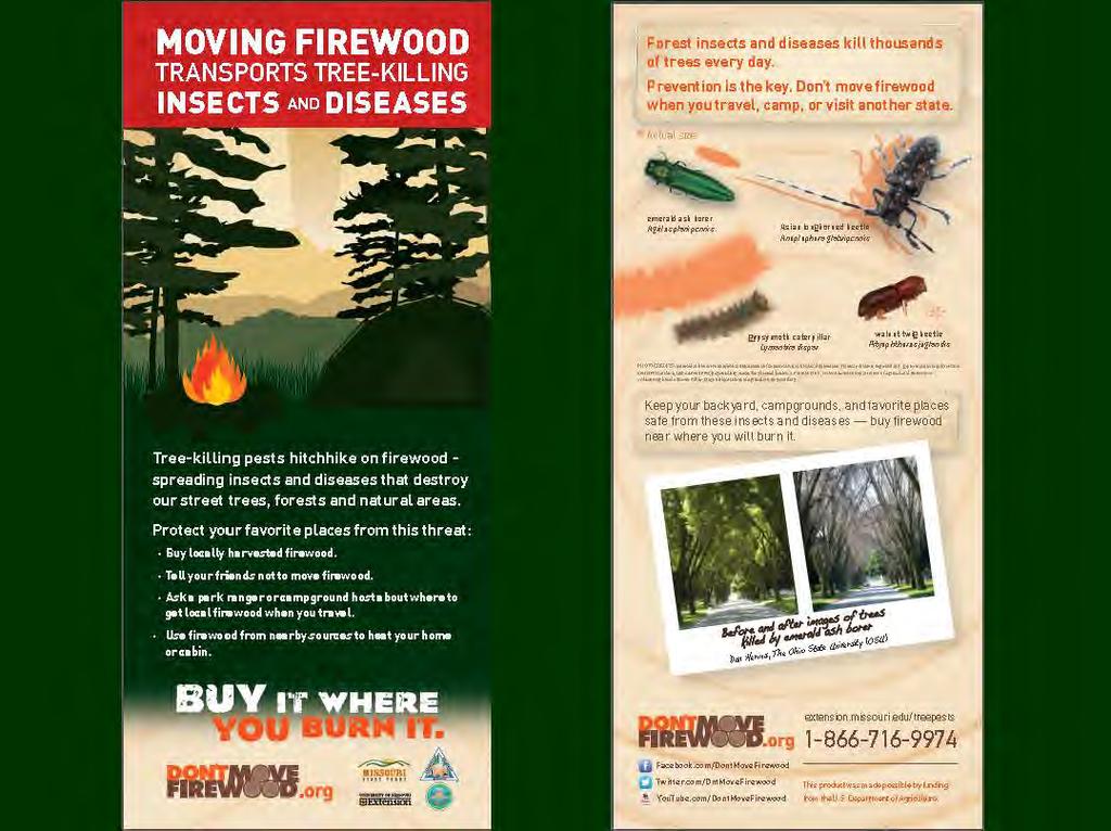 Forest insects and diseases kill thousands of trees every day. Prevention is the key. Don"t move firewood when you travel, camp, or visit another state. - ' Al:U1lt~ 1d\Htlir...,,..,.,,._ "'"" '~......_.,.,_,_d,.