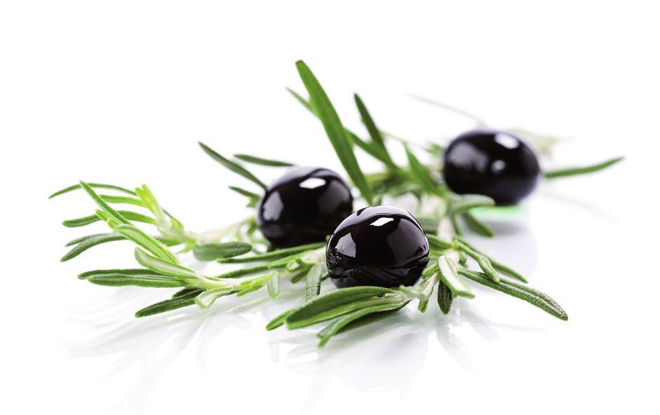 Olive Line International is one of the leading Spanish exporters and manufacturers of olive oils and table olives.