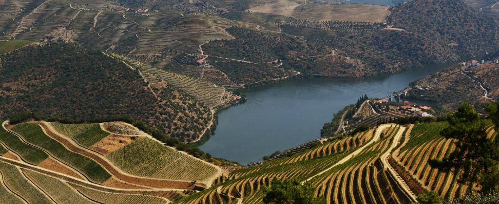 Douro Valley by Bike FOODIES HISTORICAL WINE LOVERS SUMMER