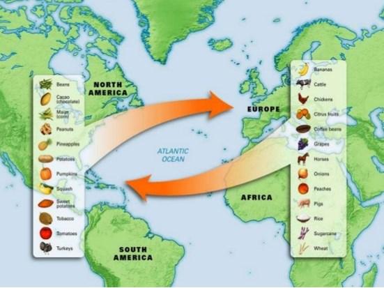 The Columbian Exchange These voyages marked the beginning of the European exploration and colonization of the Americans The result was a widespread transfer of