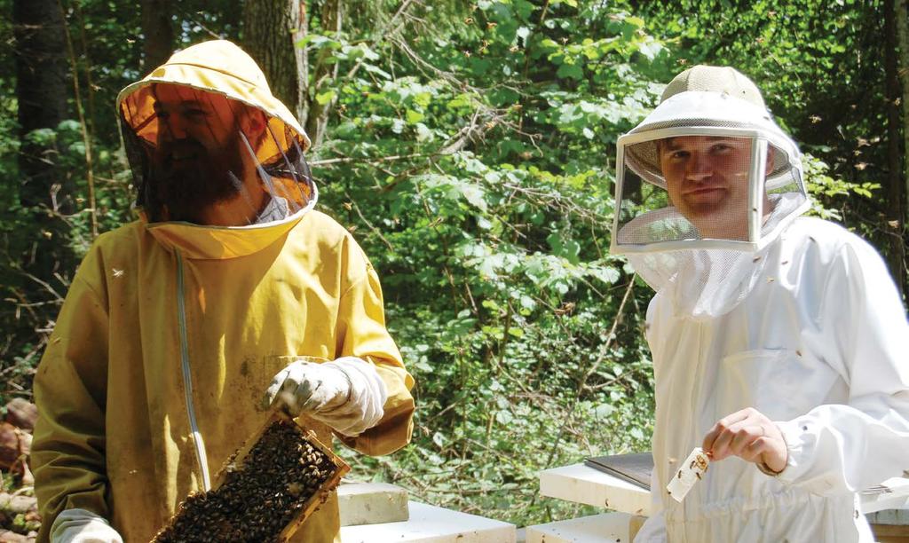 Meie mesinikud Mart ja Sander Our beekeepers Mart & Sander Sander ja Mart on uue põlvkonna mesinikud. Mart sai esimesed mesilased 12 aastaselt lemmiklooma asemel oma vanaonult.