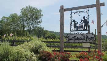 different varietals that are hand-crafted into a lineup of award-winning wines. 04 Doukénie Winery 14727 Mountain Road, Purcellville 540.668.6464 DoukenieWinery.