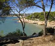 Salou is gastronomy with delicious and healthy Mediterranean cuisine made with the region s best quality
