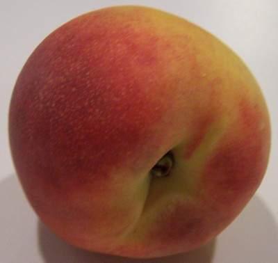 Peach and Nectarine Facts & Picking Tips! In the U.S., Peaches typically peak during late June through July in the South, and July and August in the North.