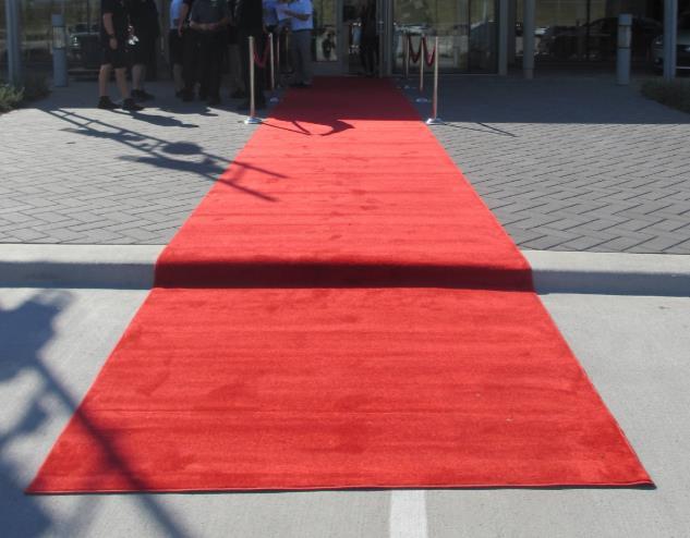 $180.00/each 6 x50 Red Carpet