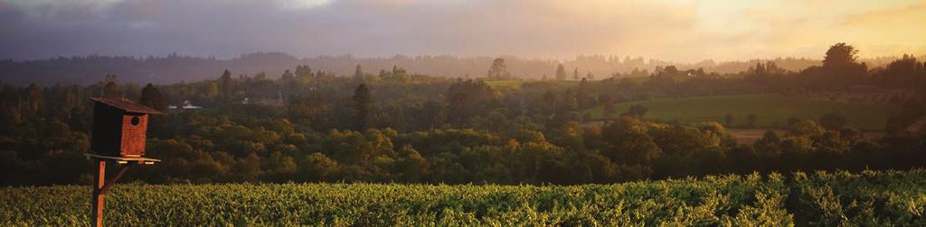 RUSSIAN RIVER VALLEY CLIMATE AND GEOLOGY SHAPE A VALLEY The guiding principle behind the wines of Davis Bynum has always been and will forever be, to let the land speak, specifically the terroir of