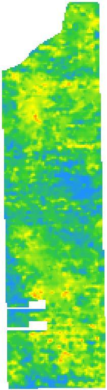 Field layout Landsat data 2012 Yield tons per acre 12 Block area: 31.5 acres VRI & CI: 10.