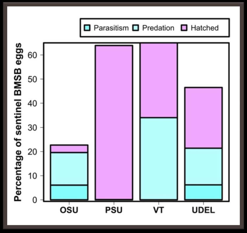 Parasitism of sentinel EM 13% 6% OSU: blackberry, hazelnut,