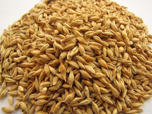 A PROFILE OF THE SOUTH AFRICAN BARLEY MARKET
