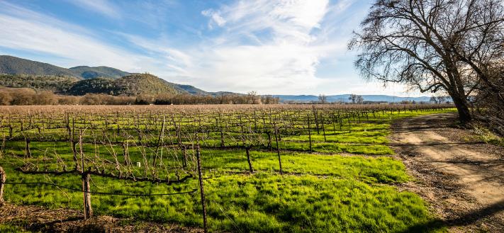 Soda Bay Vineyards, Kelseyville, CA Table of Contents Salient Facts... 3 Property Overview.