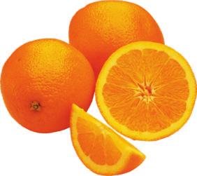 Oranges grow in Florida, where it is warm for almost the whole year.