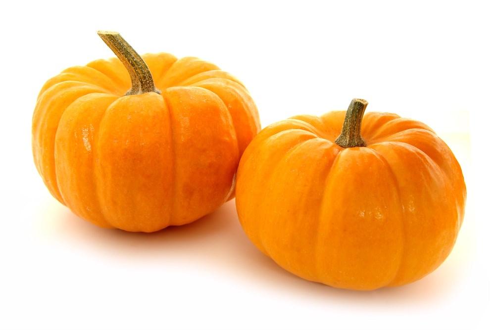 October Ornamental Gourds