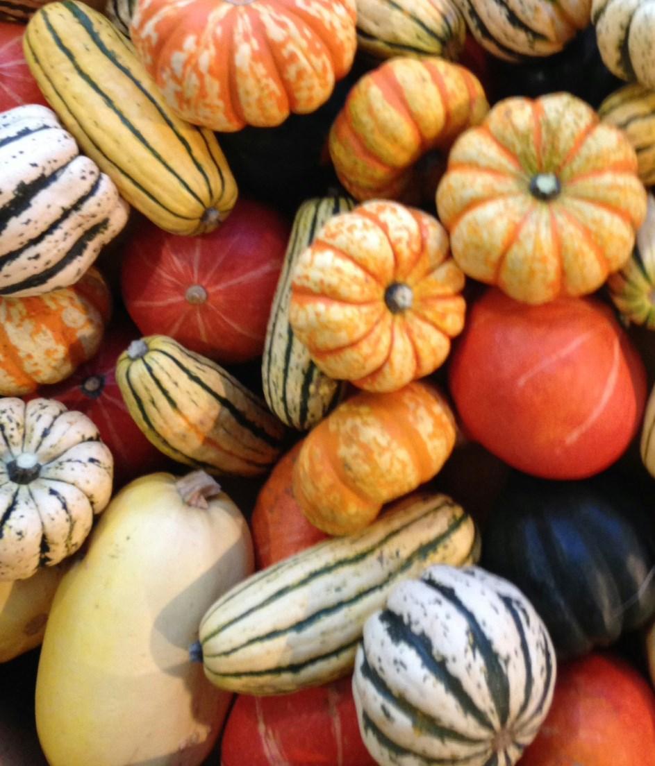 Conventional Produce Fall Availability (Sept.-Dec.