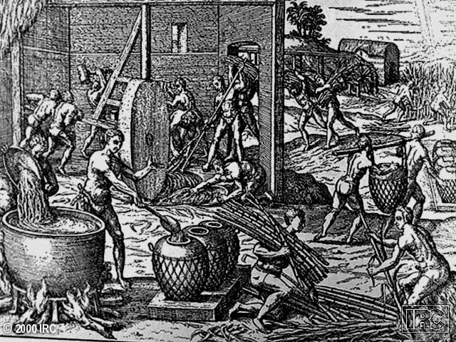 American Conquests: Slavery Portugal introduces slavery in Brazil to farm sugar plantations Dutch West India Co. (1621) England s Royal African Co.