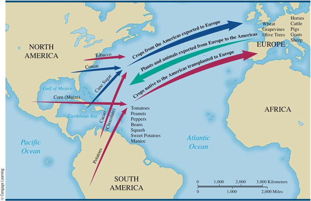The Columbian Exchange In addition to their diseases, which killed vast numbers of indigenous inhabitants of the Americas, Europeans transplanted many of