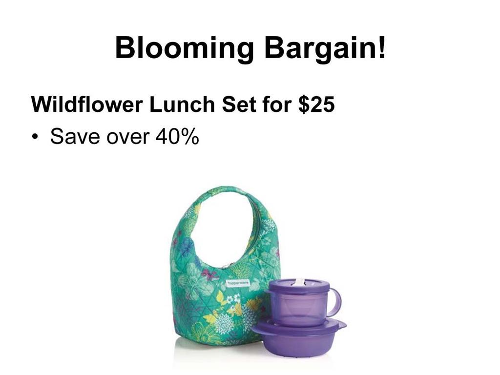 Wildflower Lunch Set for $25. Save over 40%. Now ladies can glam up their lunchtime meal with flower power. Exclusive! Limited-time offer!