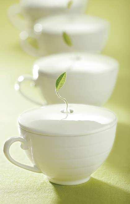 creamer & sugar gift boxed porcelain set Tea Forté transforms the tea ritual into