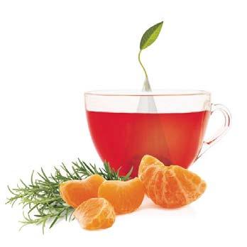 tangerine rosemary: Smooth and sublime, this organic rare white tea is enlivened with crisp apples and the flavor of sun-sweet tangerines.