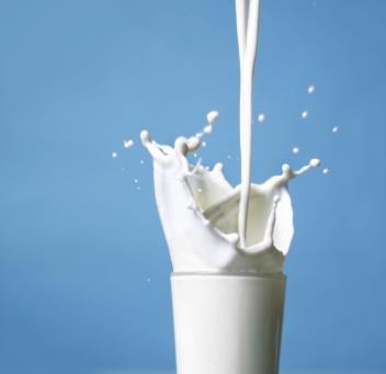 Lactose Intolerance You may be lactose intolerant if your body has difficulty digesting and absorbing the sugar in
