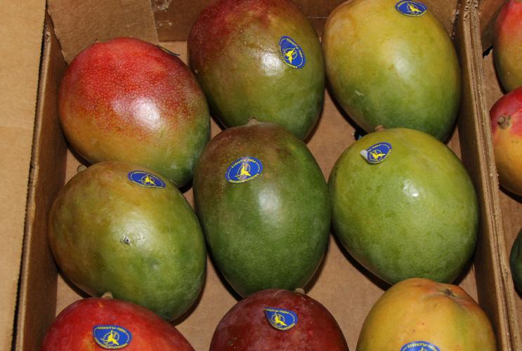 March 23 - March 30, 2018 MARKET NEWS 12 18 FOUR SEASONS PRODUCE OG MANGOS OG HASS AVOCADOS OG PEPPERS Organic Mangos are in good supply for next