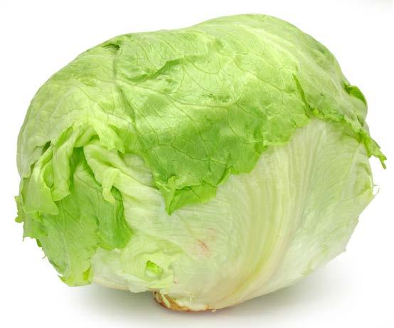 It does not have as many nutrients as the other types of lettuce.