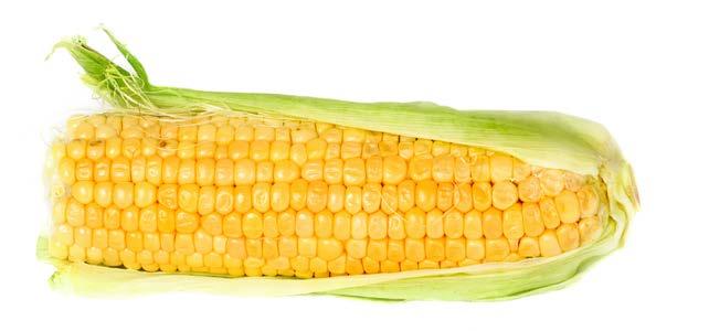 Did you know that corn will always have an even number of rows?