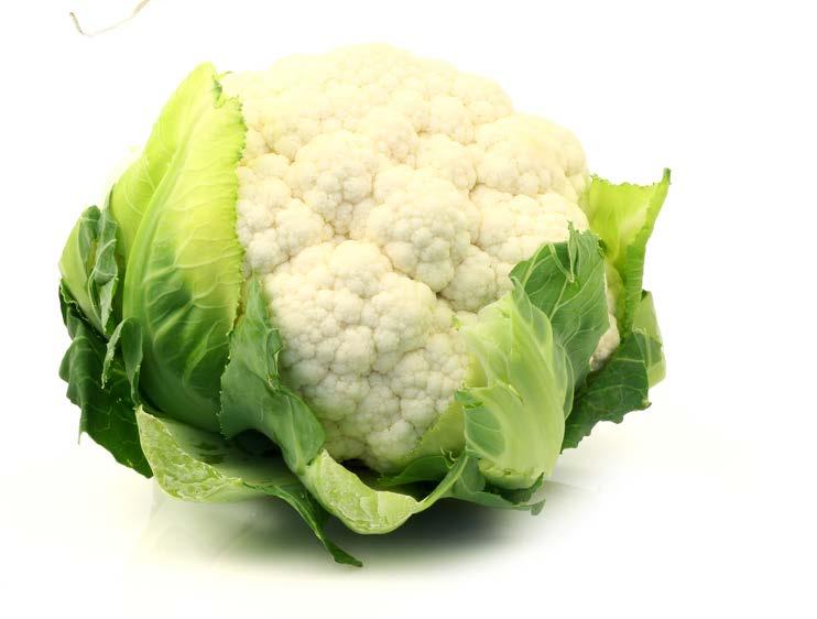 Cauliflower This vegetable is a cauliflower. It is closely related to broccoli.