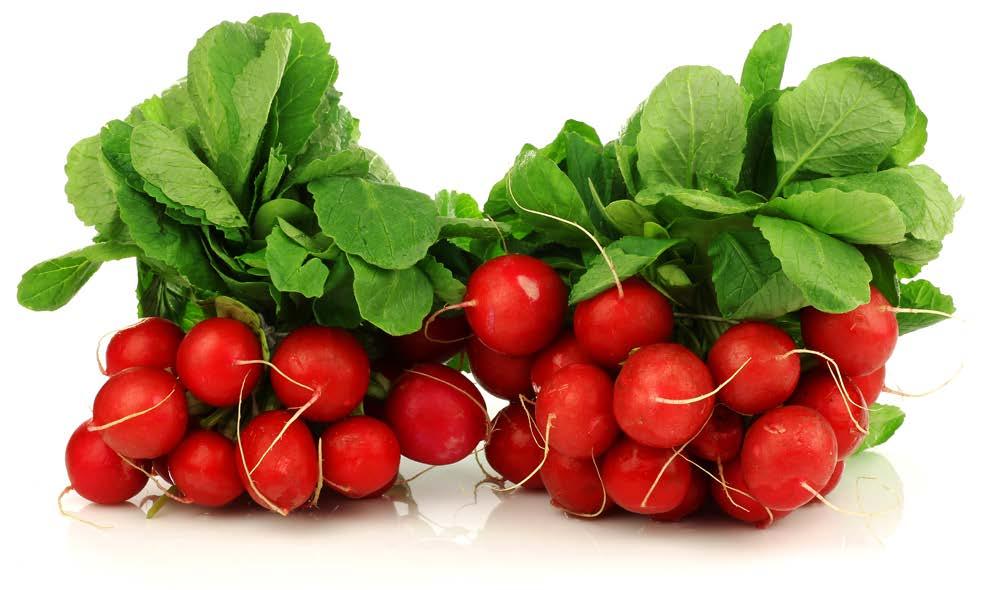 Radish These root vegetables are called radishes. They grow underground with green leaves above ground.