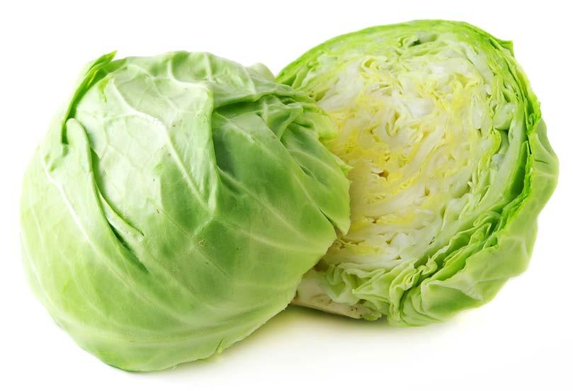 Cabbage This vegetable is a cabbage. Cabbage grows above ground. There are hundreds of types grown all over the world.