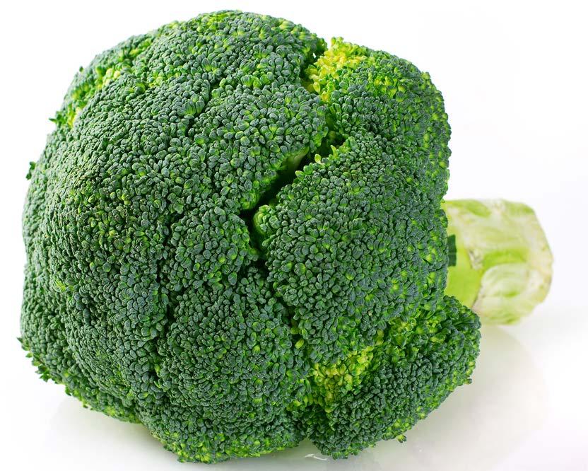 Broccoli This vegetable is called broccoli. It is green and has green leaves. Broccoli grows above ground.