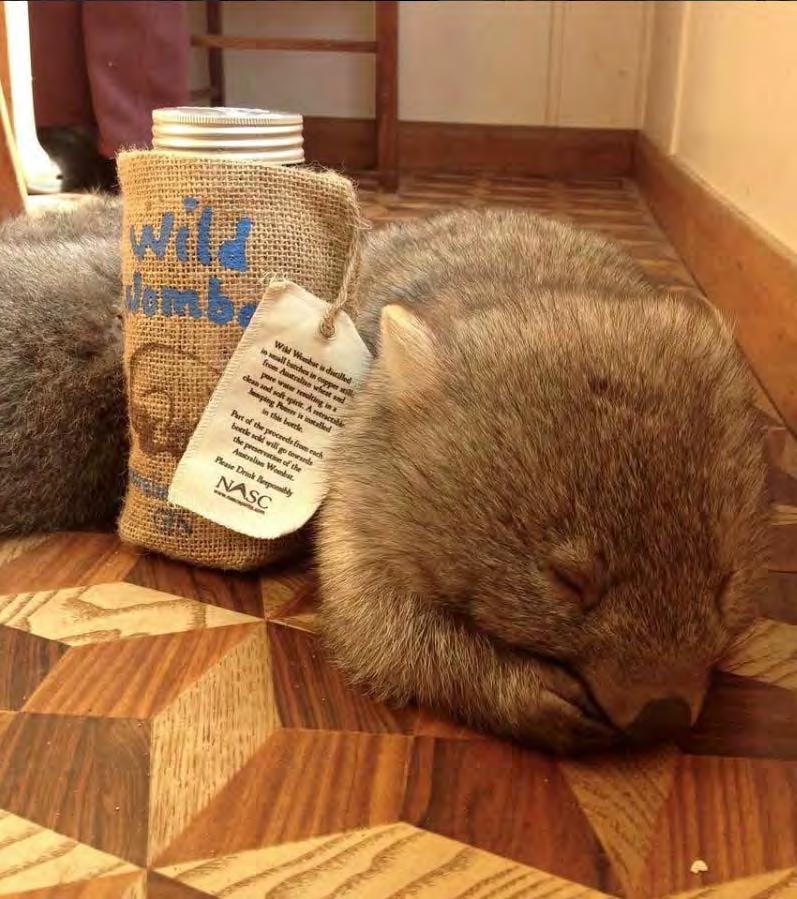 WILD WOMBAT Australia AUSTRALIAN LEGEND From the Outback to the front bar, rugged elegance in every sip. A fair dinkum rip snorter of a spirit is guaranteed to put a smile on your dial.