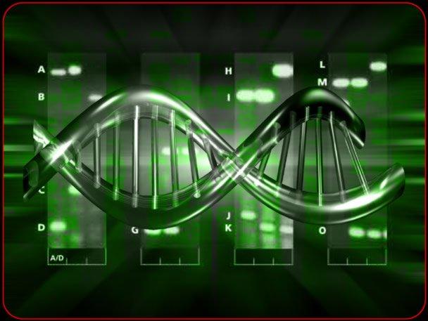 DNA - Methods Variety Testing Emanuela Casarini Kae-Kang Hwu K.B.