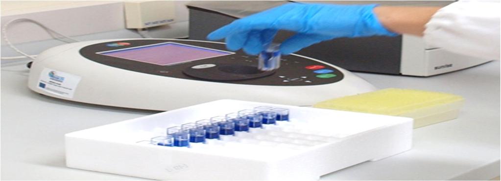 Slika 20. Određivanje antioksidativne aktivnosti ispitivanih uzoraka spektrofometrijskim mjerenjem apsorbancije Veći antioksidativni kapacitet=jače plavo obojenje (vlastiti izvor) 2.2.5.