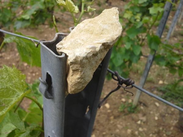 "The soils here are always drained due to good exposition, so the vines are always balanced.