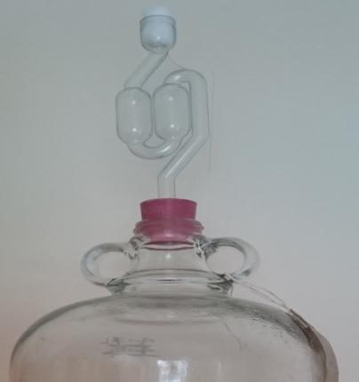 Top up to 4.7L and leave to ferment to dryness (consistent SG readings less than 1.000). (For sherry style wine, siphon the wine off the yeast and replace the water in the airlock with cotton wool.
